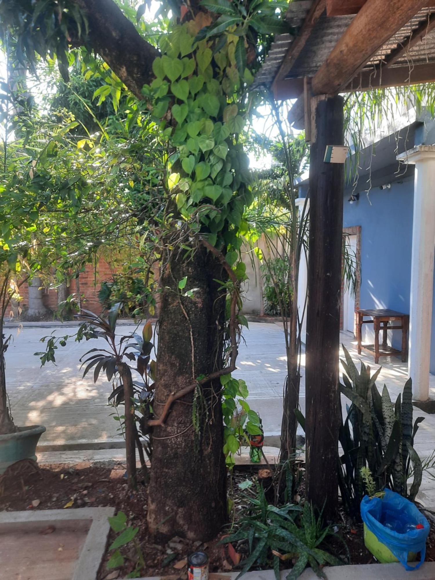 La Posada De Dante Puerto Iguazú Esterno foto